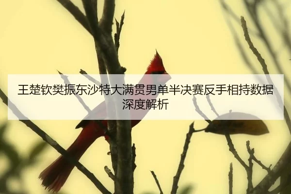 wang-chu-qin-fan-zhen-dong-sha-te-da-man-guan-nan-dan-ban-jue-sai-fan-shou-xiang-chi-shu-ju-shen-du-jie-xi-3-109.jpg