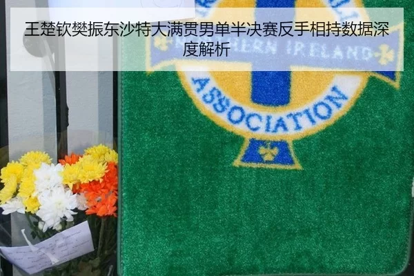 王楚钦樊振东沙特大满贯男单半决赛反手相持数据深度解析