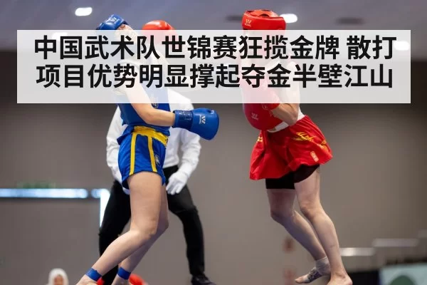 中国武术队世锦赛狂揽金牌 散打项目优势明显撑起夺金半壁江山
